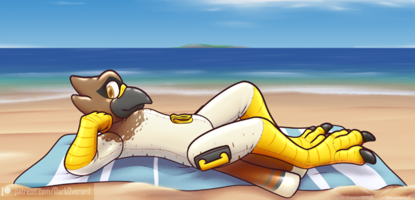 [COM-ST-2023] Chill at the Beach