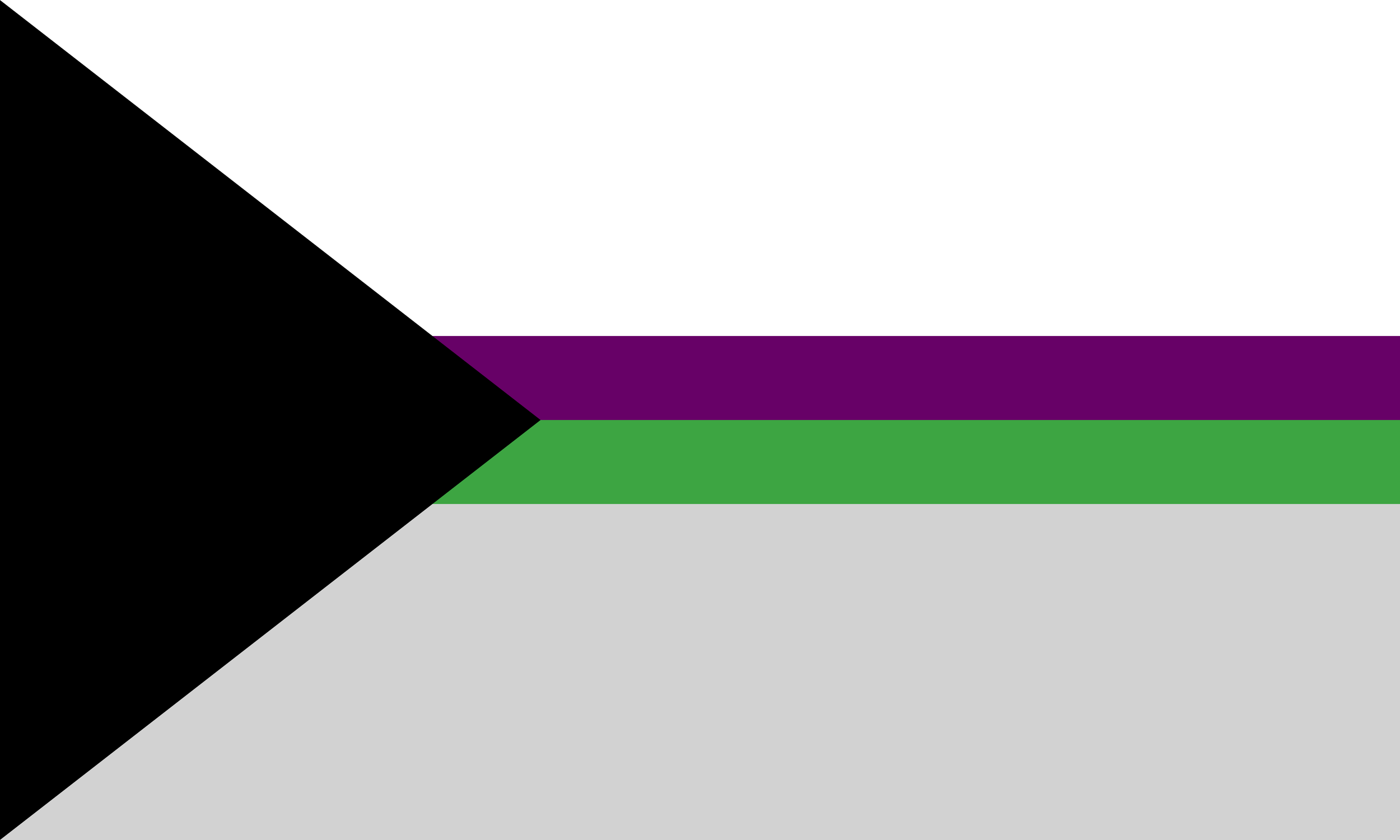 Demiaroace Pride Flag