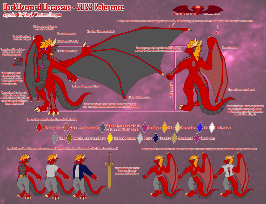 A NSFW reference sheet for DarkOverord Occassus, a red anthropomorphic western dragon.