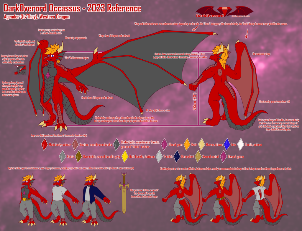 A reference sheet for DarkOverord Occassus, a red anthropomorphic western dragon.