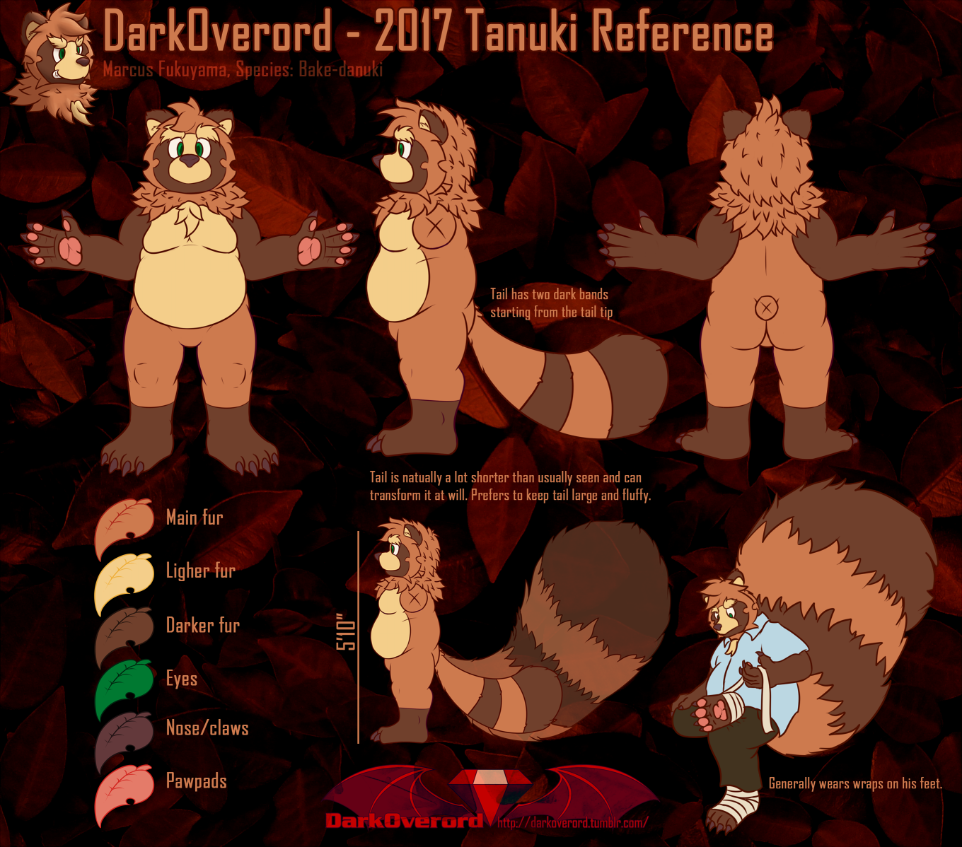 A reference sheet from 2017 for Marcus Fukuyama, a tanuki